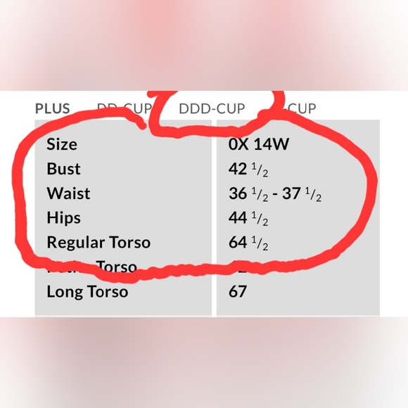 Lands' End Women's Navy Nylon/Spandex Chlorine Resistant Tummy Control Surplice - Picture 16 of 16